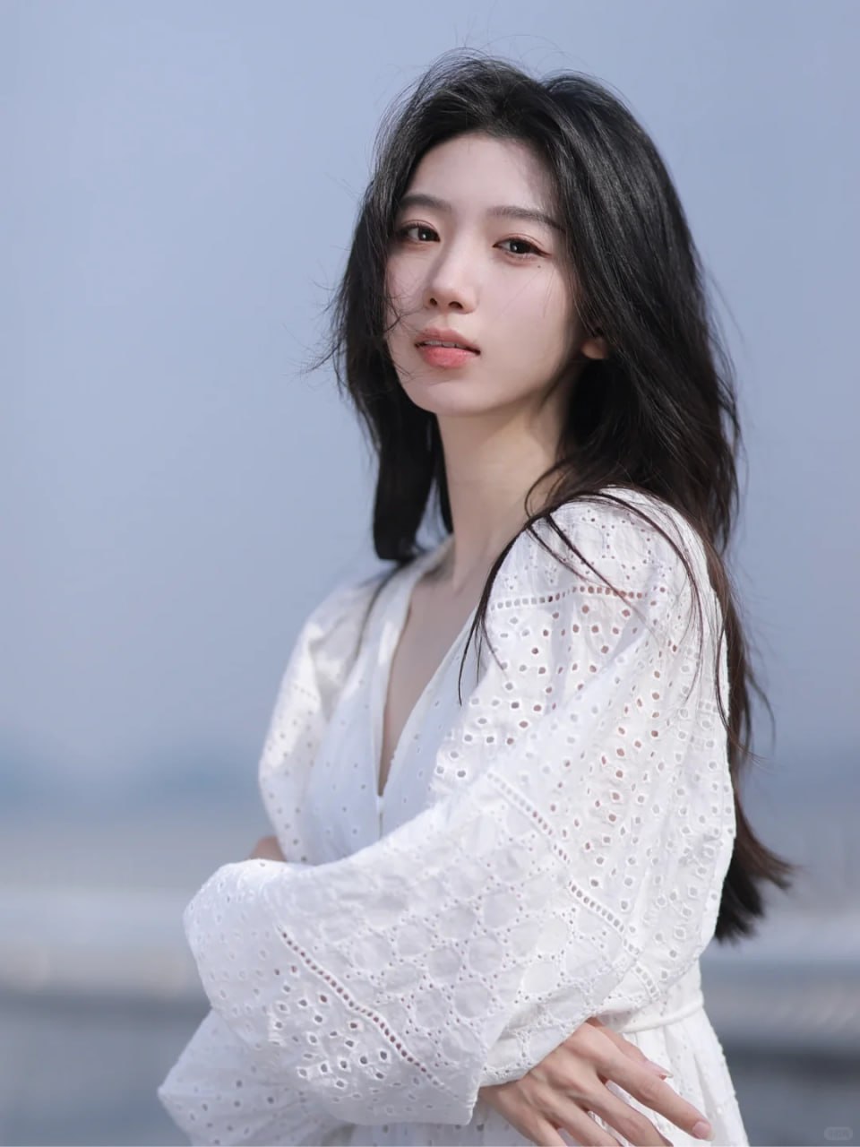 9527小猫