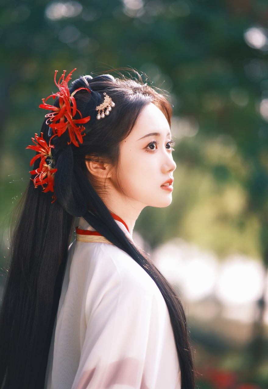 蔷薇少女 蔷薇少女第六人偶