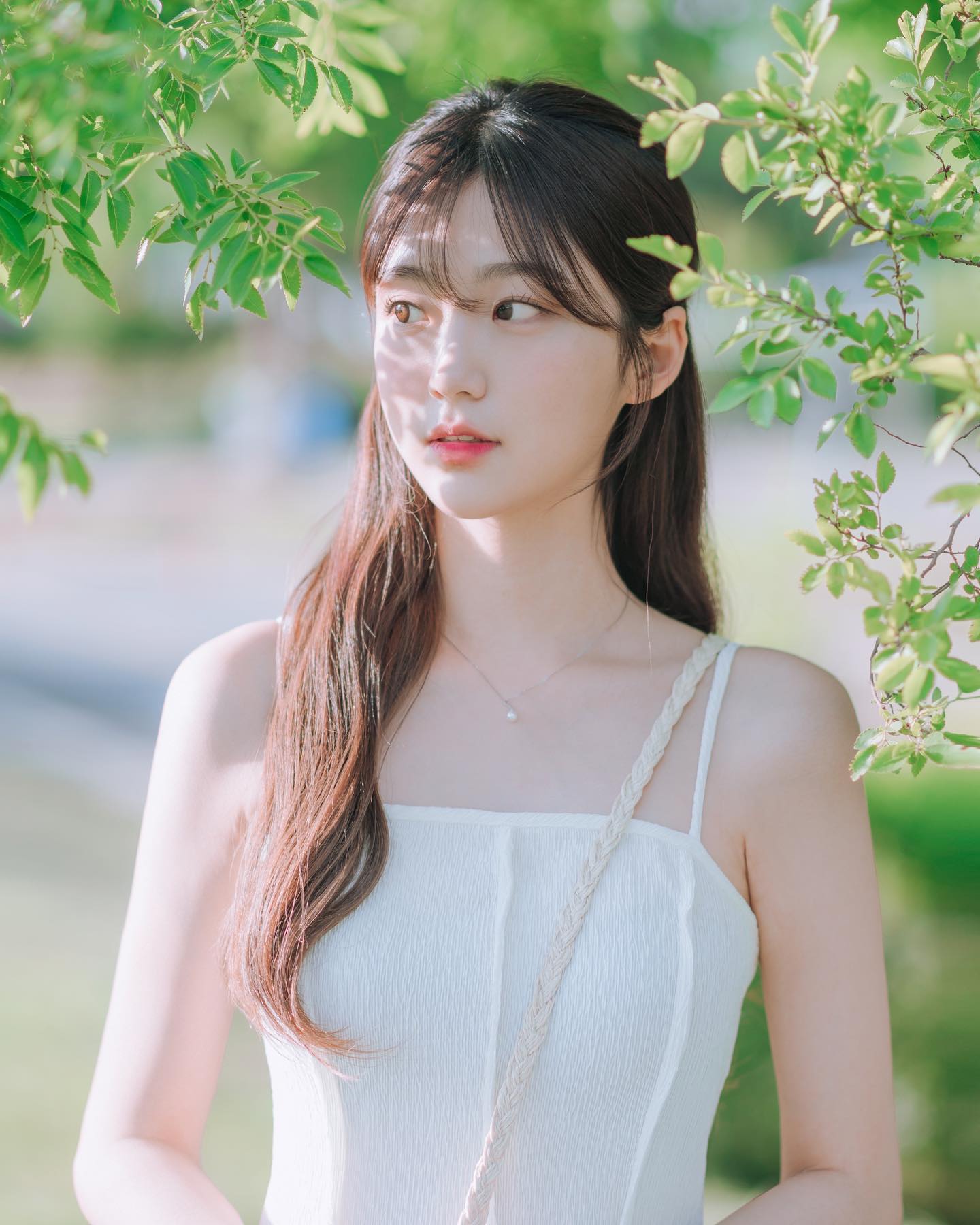 笨蛋美人 笨蛋美人在兽族世界里被疼爱的日子