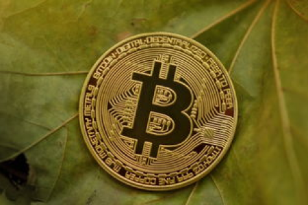 比特币未来价格预测：能涨到多少？你准备好了吗？