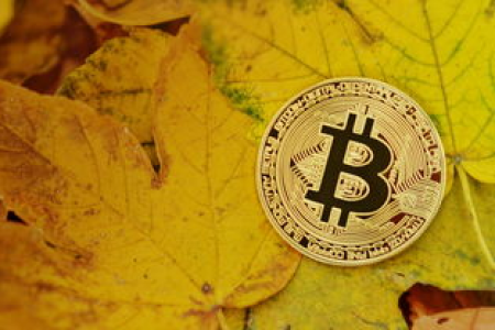 比特币从哪里买最划算？避坑指南助你安全投资BTC