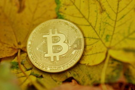 USDT怎么换BTC？避坑指南及交易平台推荐