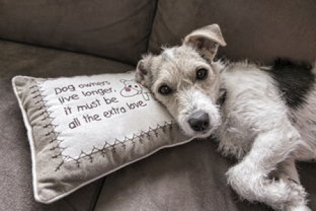 狗狗币DOGE价格上涨信号！看涨突破预示着什么？