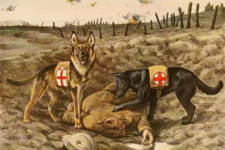狗狗币Dogecoin和柴犬币Shiba：币圈两大网红犬币深度解析