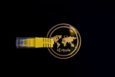加密聚焦Worldcoin和Remittix如何改变支付行业