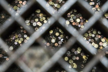 NEWT最新动态 行业专家深度解析