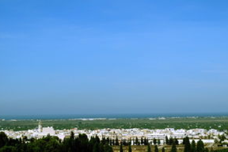 shib未来走势如何最新市场动态与生态进展全面分析