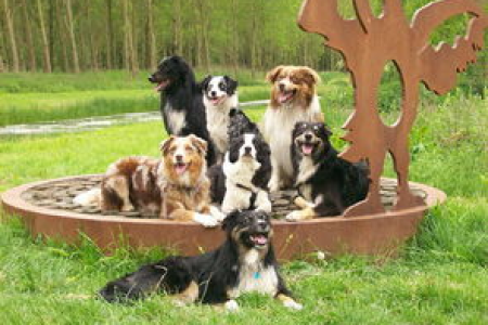 doge冷钱包含义解析 用冷钱包保存狗狗币是否最稳妥