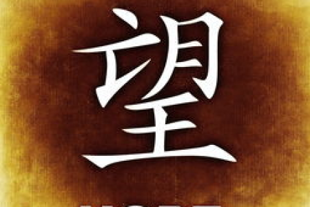 BAL币平台代币解析 中国团队背景揭秘