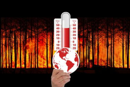 ol币为什么突然火了 未来暴涨潜力大吗 解析来了