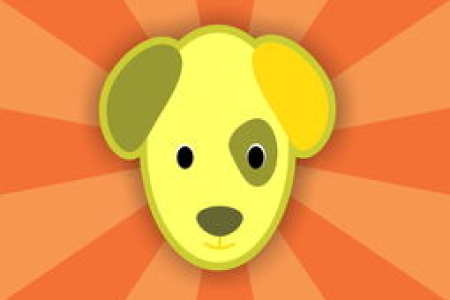 doge狗狗币app下载教程 官网最新版本安装指南